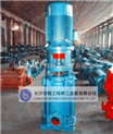 DL、DLR型离心泵-DL、DLR型立式多级离心泵，长沙精工泵厂150DL（DLR）150-20立式泵