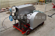 3D-SY300MPa型高压电动试压泵