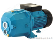 出口美国利欧深井喷射泵，杭州XDPm505A不自动深井喷射泵，批发销售
