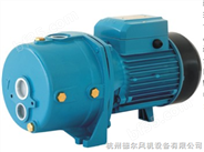 利欧深井喷射泵，XDPm505A/1深井喷射泵，杭州批发，德尔销售
