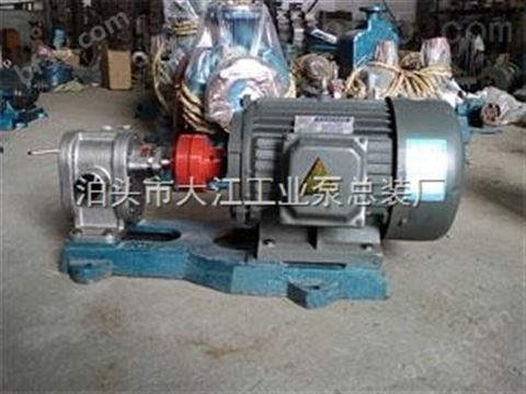 2CY-7.5/2.5不锈钢齿轮泵 蜂蜜输送泵 糖稀泵高压形式