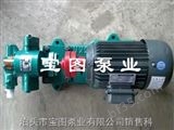 KCB18.3宝图小型磁力泵.齿轮泵型号.导热油泵