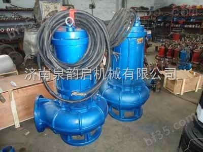 排污泵 废水泵厂家、型号、选型