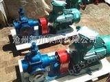 *产品低价位高质量YCB1.0/0.6型圆弧齿轮泵