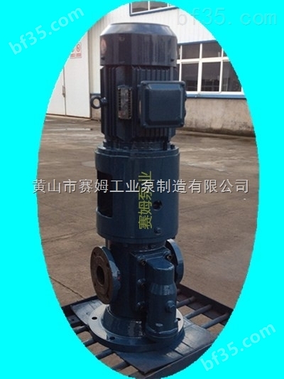 冷却循环泵三螺杆泵SNS210R54E6.7W2