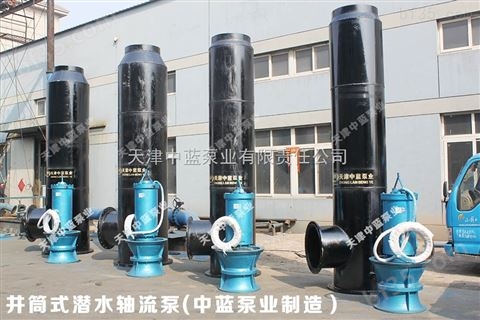 供应天津井筒式安装QZB轴流泵