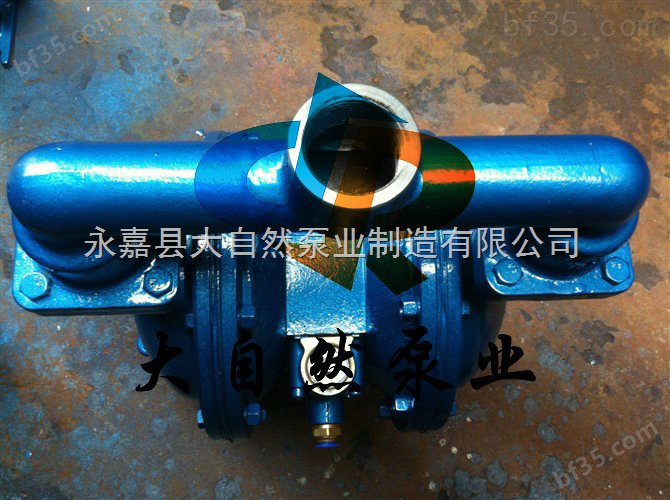 供应QBY-50不锈钢隔膜泵 气动单向隔膜泵 微型隔膜泵