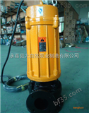 供应AS10-2W/CB上海排污泵 直立式排污泵 潜水式排污泵