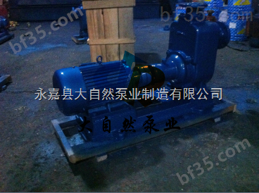 供应ZW100-100-30高温自吸泵 大自然自吸泵 上海自吸泵