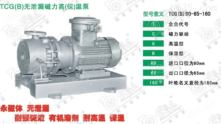 TCG（B）无泄漏磁力高（保）温磁力泵