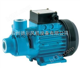 XVm60利欧XVm60旋涡泵，杭州旋涡泵，出口西班牙利欧水泵