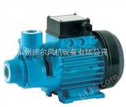 利欧XVm60旋涡泵，杭州旋涡泵，出口西班牙利欧水泵