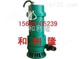 BQS15-30-4/N外装式电泵携带方便