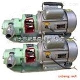WCB-50WCB型微型齿轮泵，微型输油泵