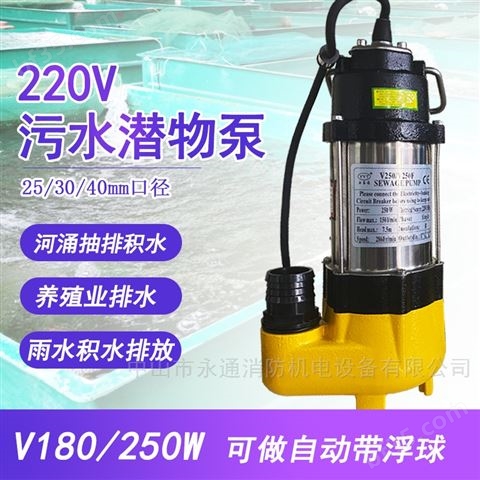 电动V250小型工业抽水清污两用潜水泵