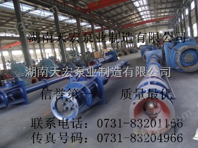 长轴泵厂家湘淮水泵*立式长轴泵